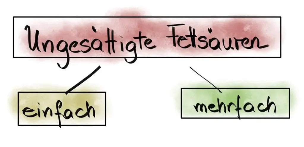 Ungesättigte Fettsäuren